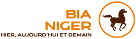 Logo BIA Niger