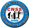 Logo CNSS Niger